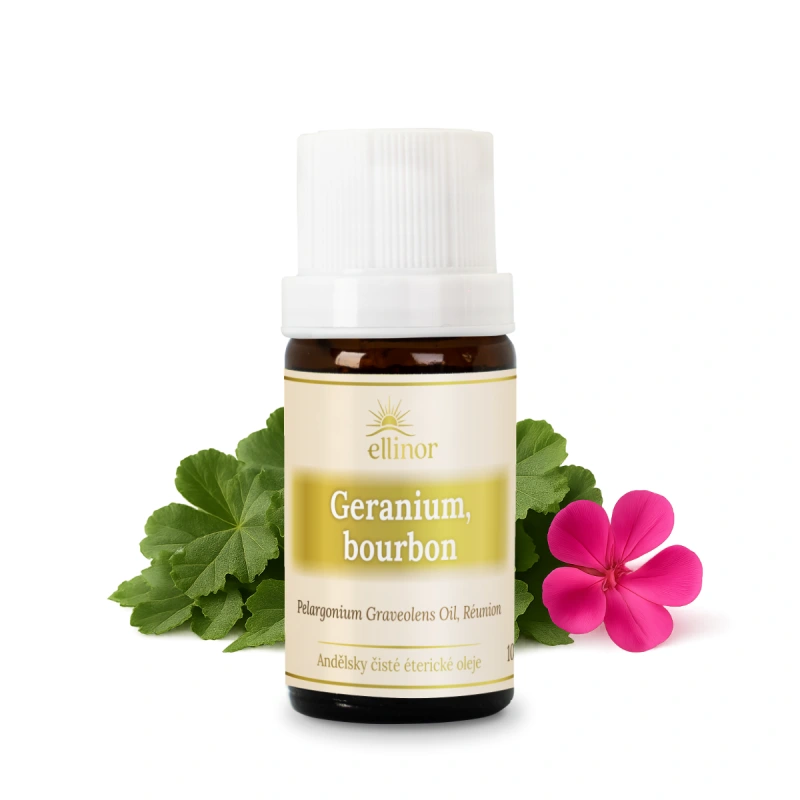 Geránium bourbon