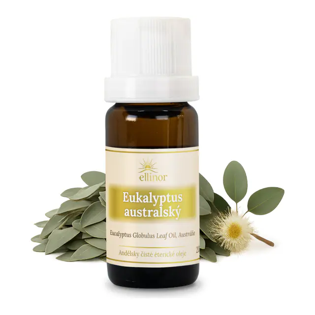 Eukalyptus austrálsky